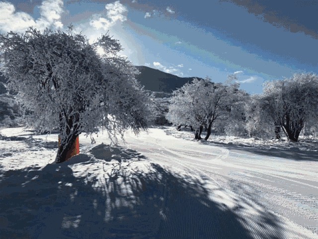 春节去哪玩成都周边12大滑雪赏雪泡温泉圣地推荐